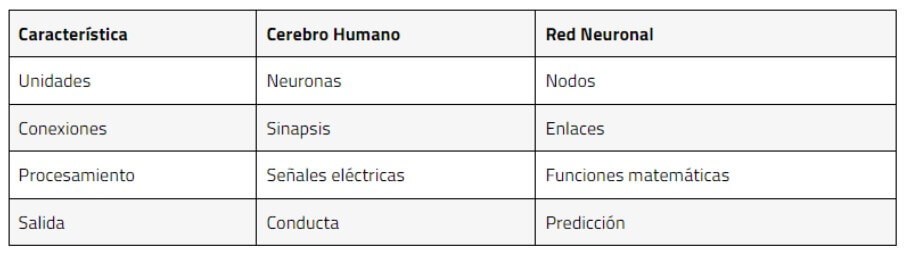 Redes neuronales artificiales y cerebro humano