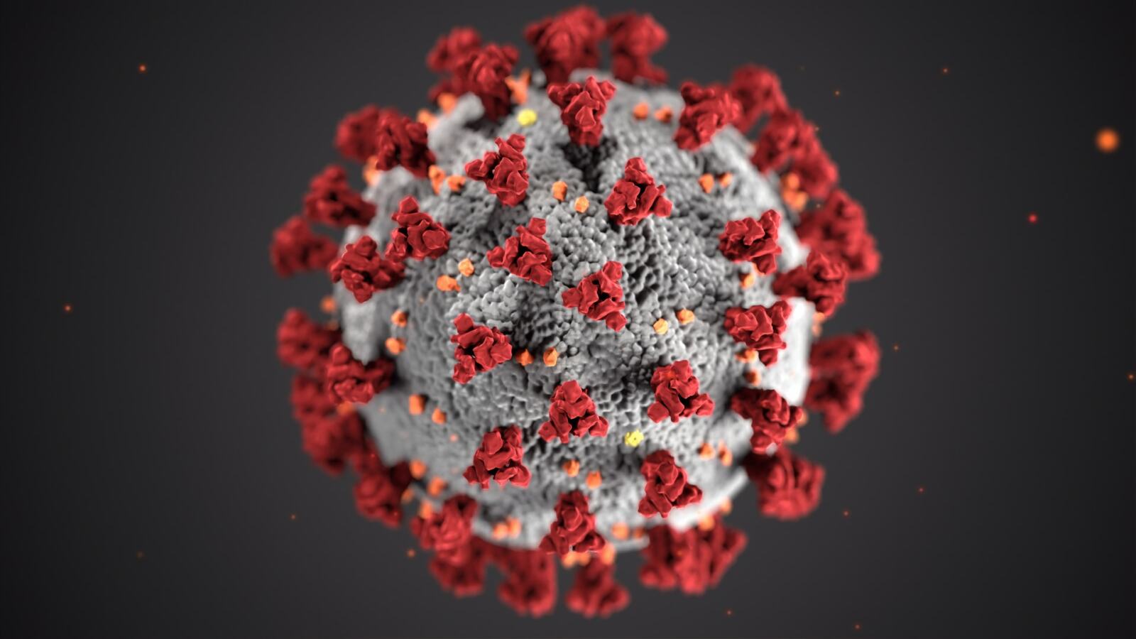 Agregacion-coronavirus-omicron