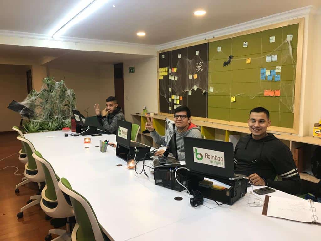 Bamboo Analytics