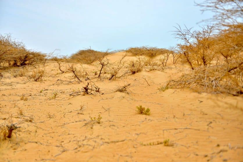 desiertos-a-la-guajira