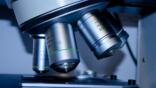 Ciencia
