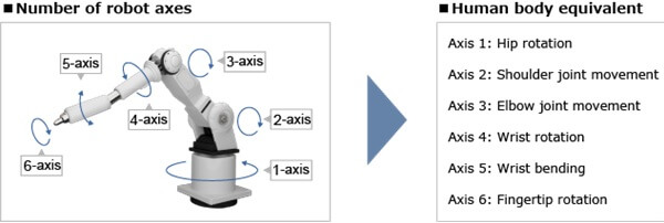 Robot con ejes y equivalencia al cuerpo humano