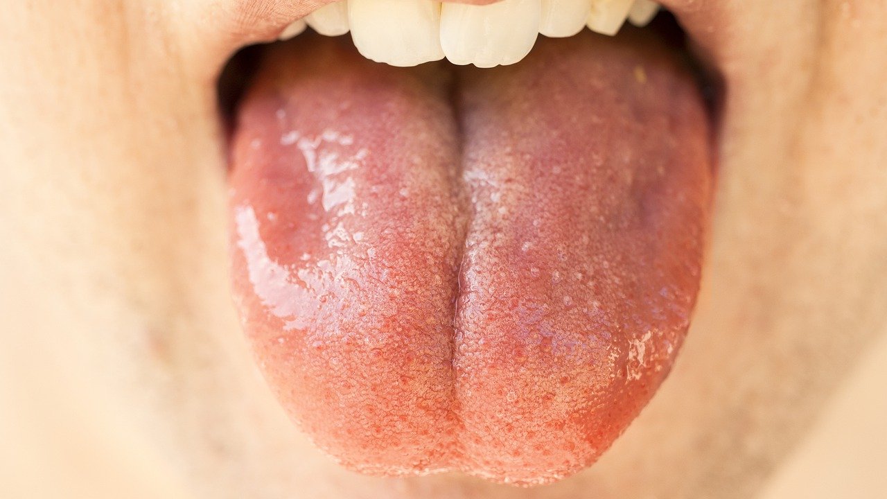tongue-5839252_1280