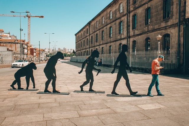 violencia-hommo-sapiens-1